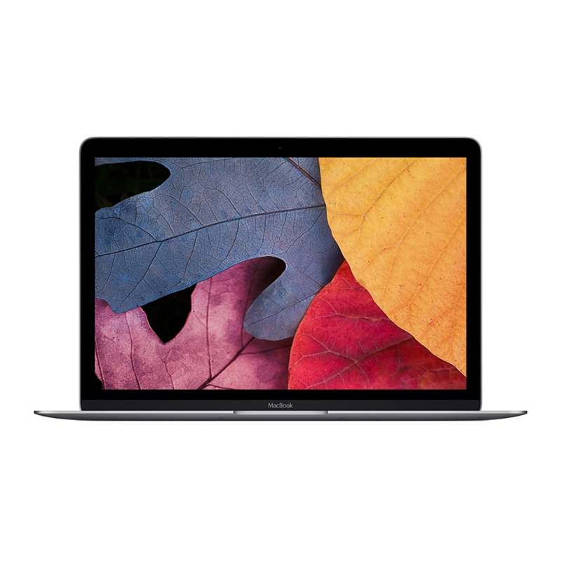 MacBook（16年12寸A1534）